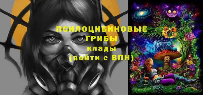 Псилоцибиновые грибы мицелий  Солигалич 